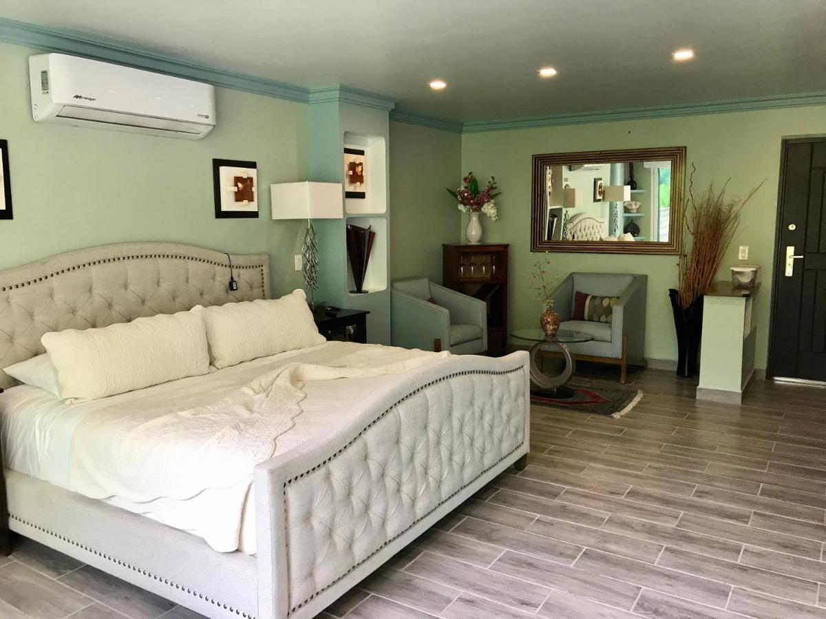 Pv South Shore Luxury Suites And Villa For Rent プエルトバラータ エクステリア 写真